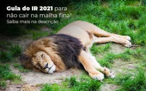 Guia Ir 2021 Para Nao Cair Na Malha Fina Saiba Mais Na Descricao Post (1) Quero Montar Uma Empresa - Notícias e Artigos Contábeis