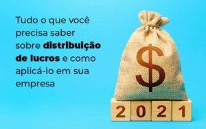 Tudo O Que Voce Precisa Saber Sobre Distribuicao De Lucros E Como Aplicalo Em Sua Empresa Blog 1 - Escritório de Contabilidade em Brasília-DF | TSX Contadores