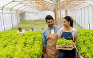 Funrural Entenda Como Funciona Para Produtores Rurais - Escritório de Contabilidade em Brasília-DF | TSX Contadores