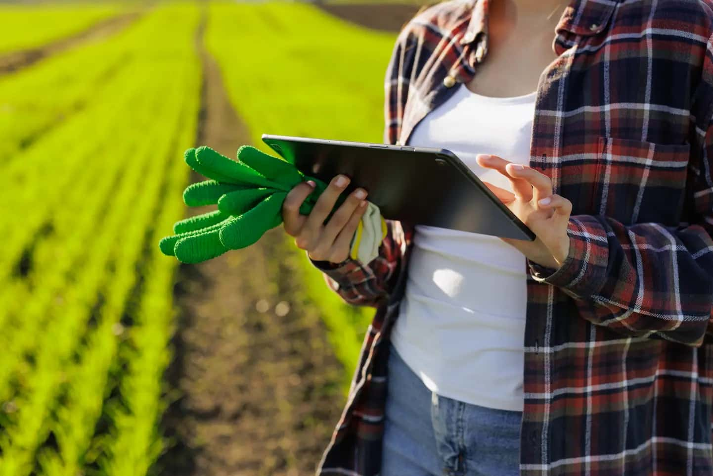 Maximize Seus Lucros No Agro Reduza Custos Na Produção Agrícola - Escritório de Contabilidade em Brasília-DF | TSX Contadores